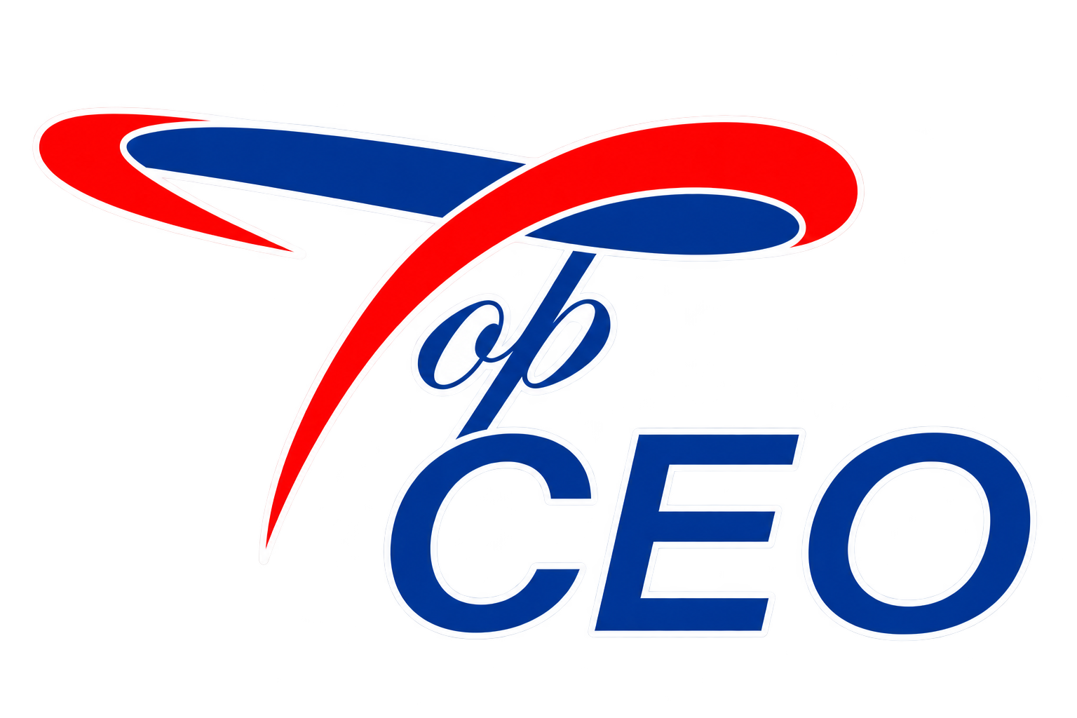 TOP CEO Academy